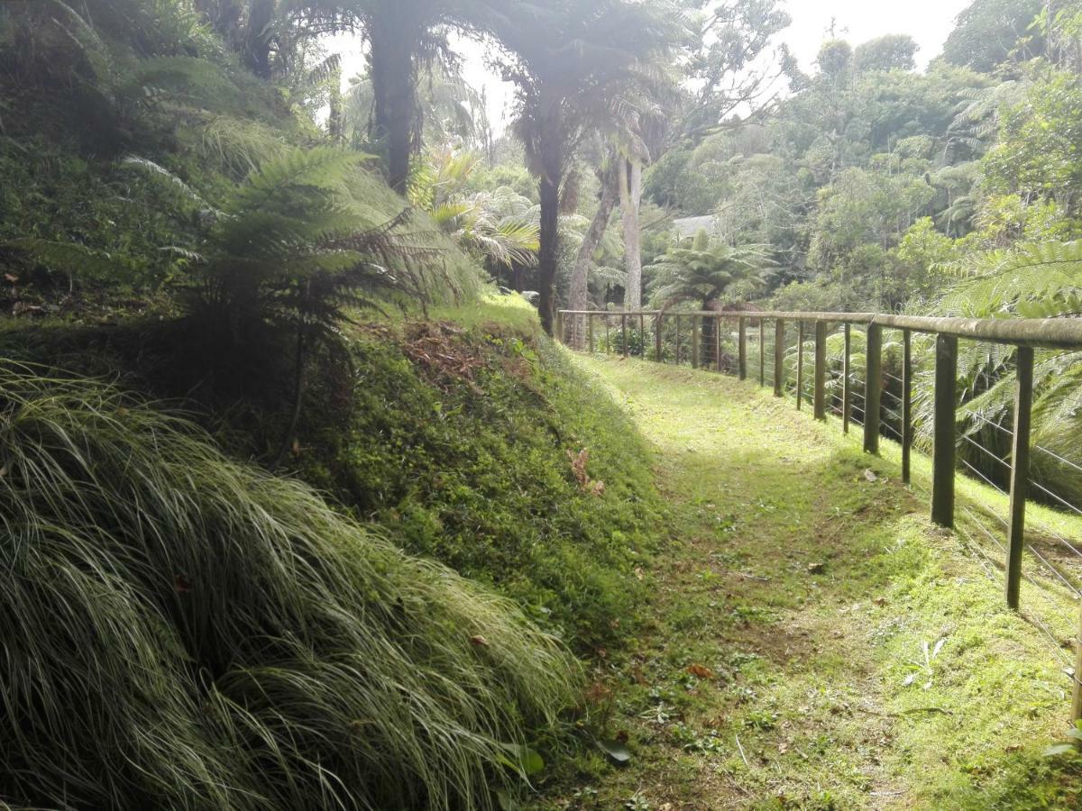 Apartamento Taranaki Experience New Plymouth Exterior foto