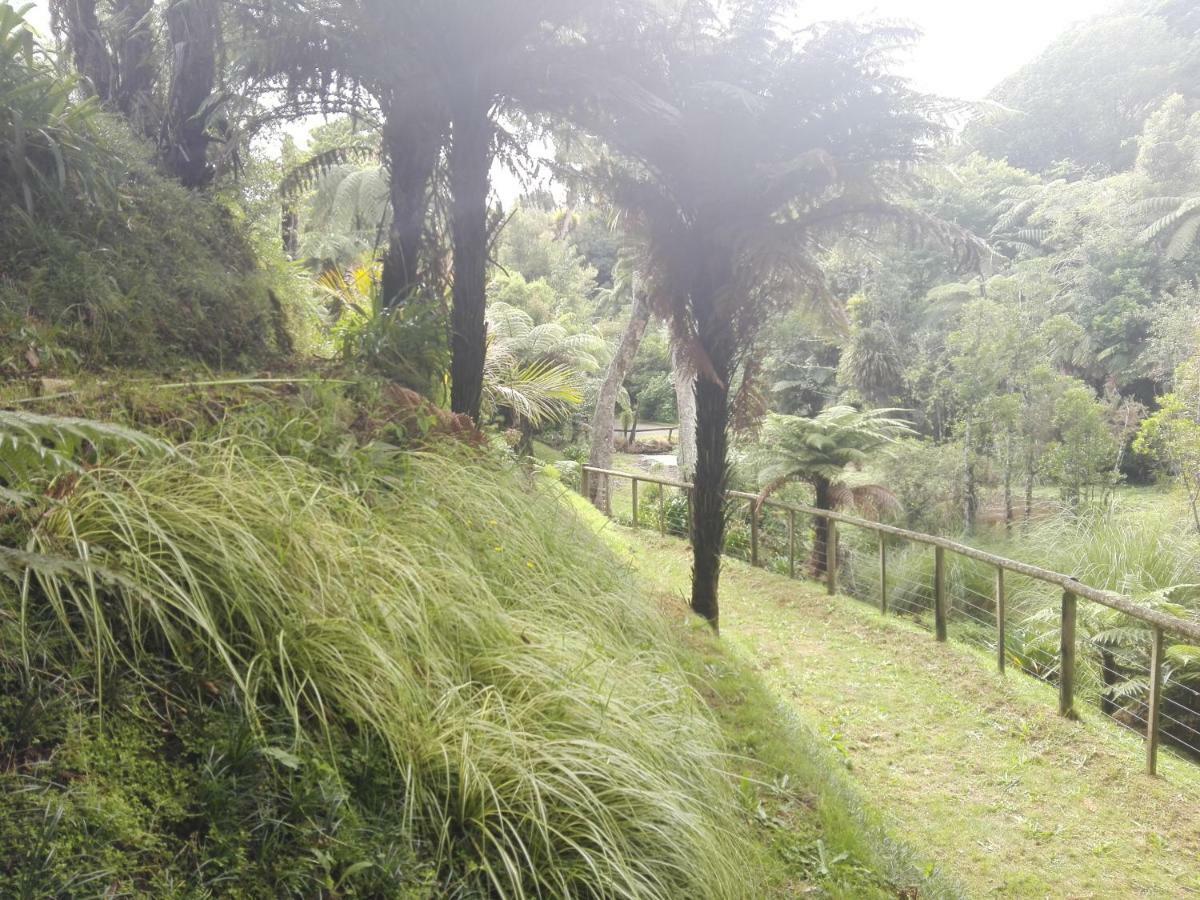 Apartamento Taranaki Experience New Plymouth Exterior foto